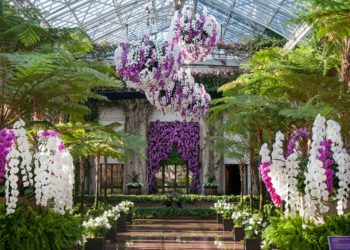 Na návšteve magického miesta – Longwood Gardens