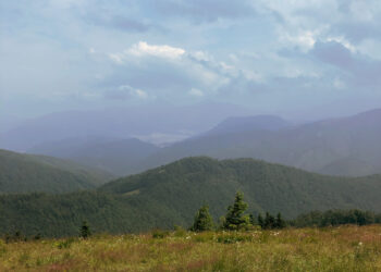 8 vecí, ktoré ma prekvapili po príchode z USA na Slovensko