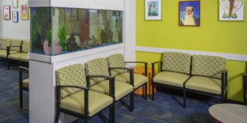 Výber pediatra a prvé vyšetrenia bábätiek v USA